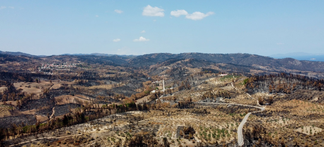 Vista de un terreno con ciertas aéreas quemadas